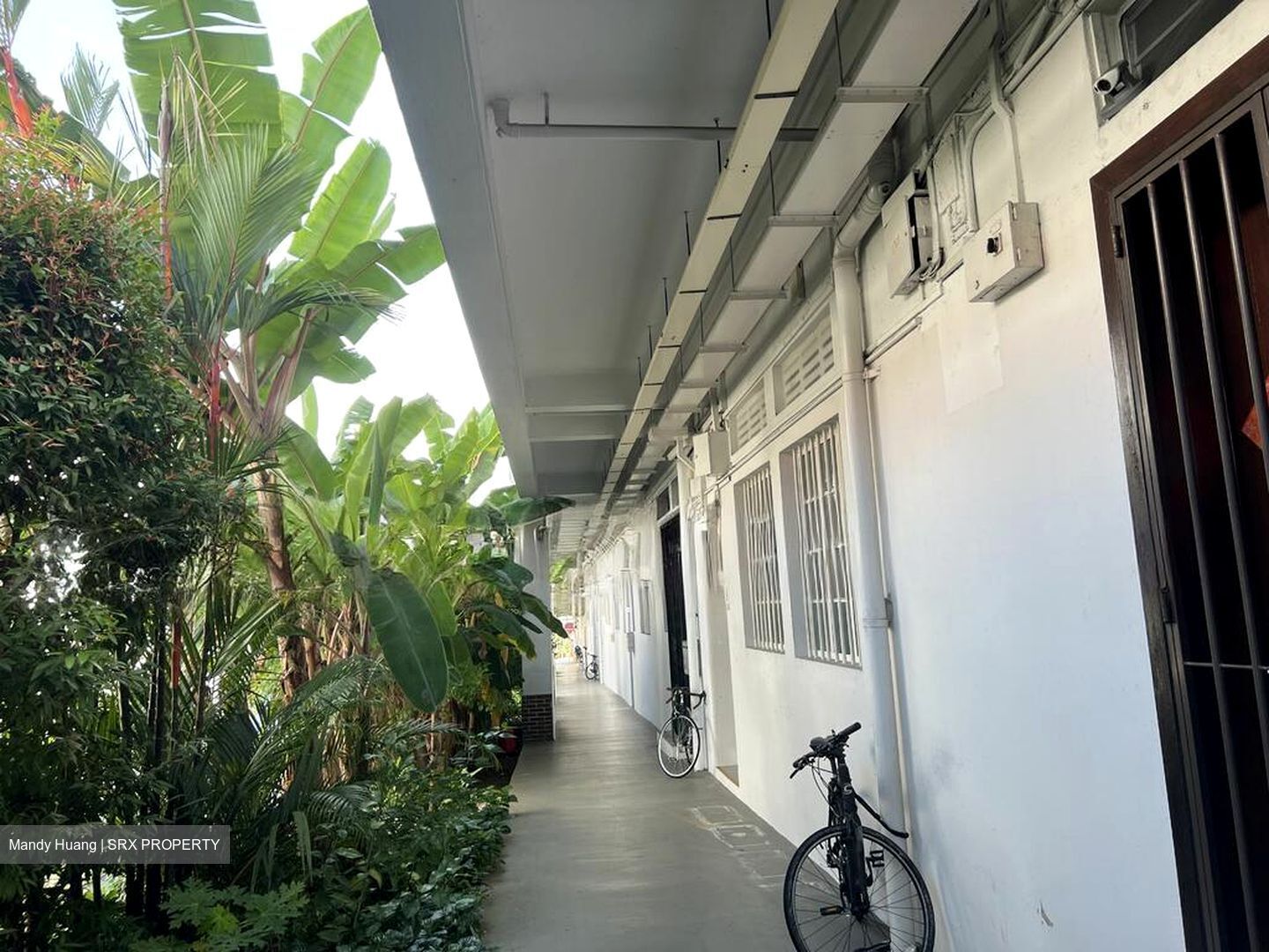 Blk 82 Tiong Bahru Estate (Bukit Merah), HDB 4 Rooms #517295271